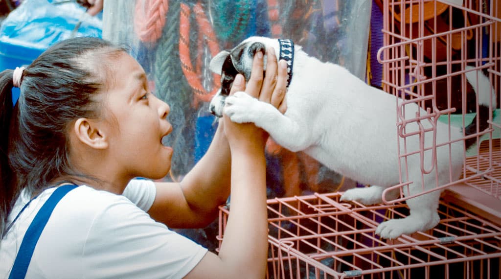 Pets Merecem Um Lar Cheio De Amor E Alegria